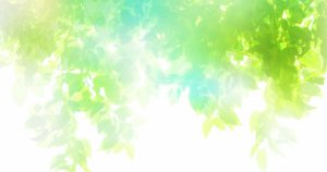6月の検索キーワード