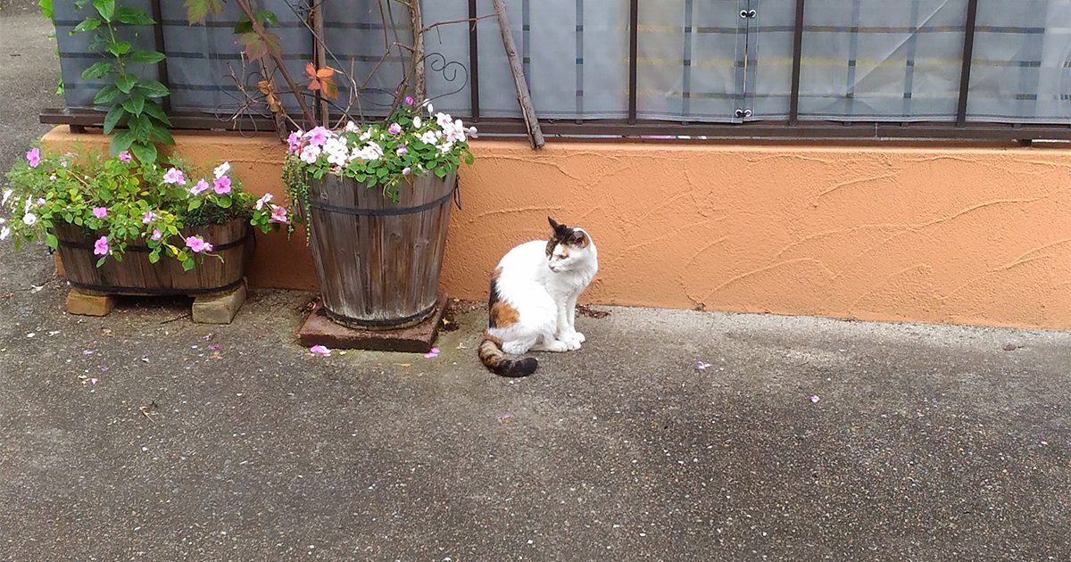 出勤の時間だー