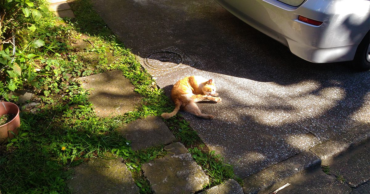 気がついたら