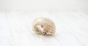 【備忘録】PDFを圧縮したいとき